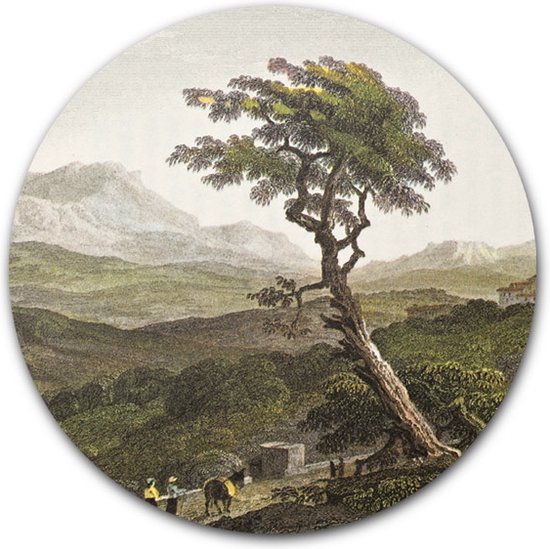 Tuincirkel Sicilian Tree - WallCatcher | Tuinposter rond 80 cm | Buiten muurcirkel Bomen in Sicilië