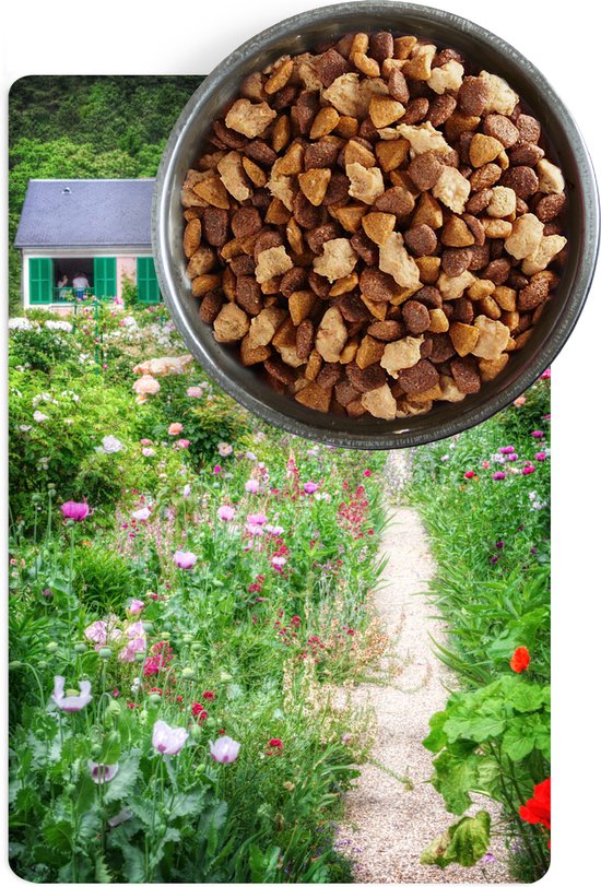 Voermat Placemat voerbak Placemat hond Placemat kat Pad naar boerderij met de... bol