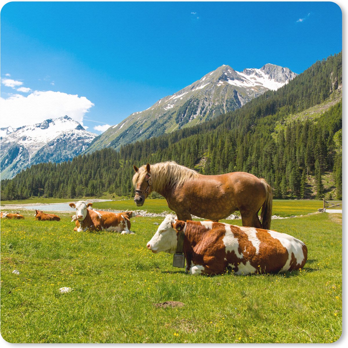 Muismat XXL 50x50 cm - Bureau onderlegger - Bureau mat Koeien - Paarden - Alpen - Bureaumat - Gaming mousepad xl - Bureaulegger groot - Computer deskmat