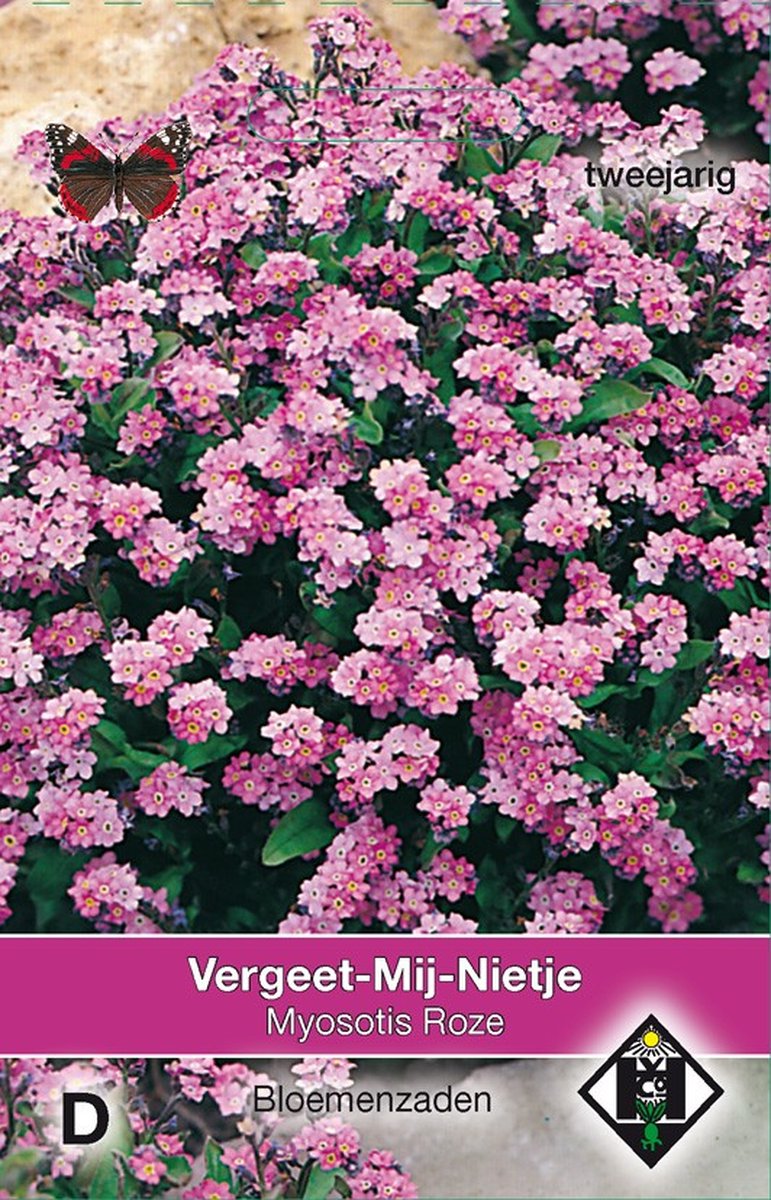 2 stuks Myosotis sylvatica RozeVan Hemert & Co
