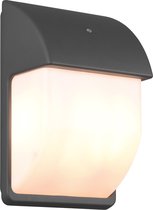 LED Tuinverlichting met Dag en Nacht Sensor - Buitenlamp - Torna Menaki - E14 Fitting - Spatwaterdicht IP44 - Ovaal - Mat Antraciet - Aluminium