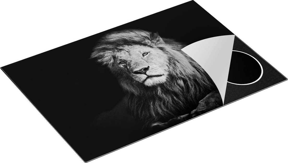 Chefcare Inductie Beschermer Leeuw - Leeuwenkop - 75x55 cm - Afdekplaat Inductie - Kookplaat Beschermer - Inductie Mat