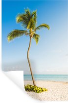 Sticker Muursticker Palmier - palmier solitaire sur la plage - 80x120 cm - film adhésif autocollant - sticker mural repositionnable