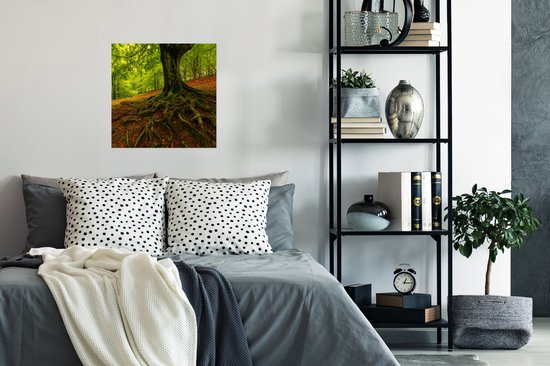 Poster Arbre - Forêt - Feuilles d'Automne - 50x50 cm