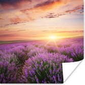 Poster Lavendel - Zon - Bloemen - 50x50 cm