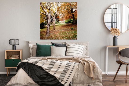Affiche Automne - Arbres - Feuilles - Nature - 100x100 cm XXL