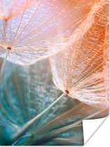 Affiche Bloem - Pissenlit - Plante - 30x40 cm