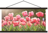 Porte-affiche avec affiche - Affiche scolaire - Tulipes - Soleil - Printemps - 60x30 cm - Lattes noires