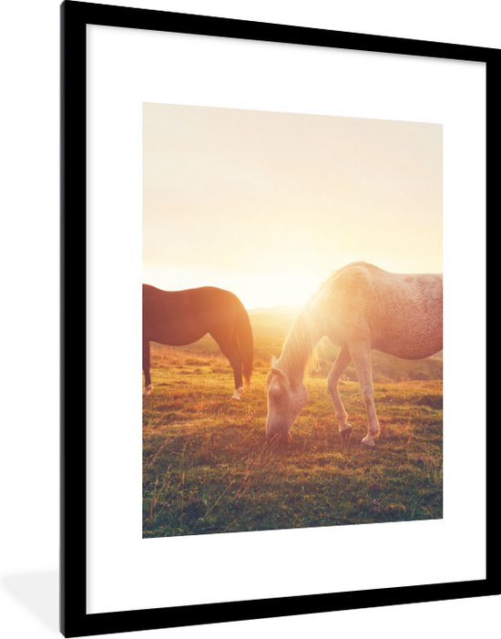 Fotolijst incl. Poster - Paarden - Zon - Dieren - 60x80 cm - Posterlijst