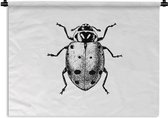 Wandkleed - Wanddoek - Vintage - Lieveheersbeestje - Insecten - Zwart wit - 120x90 cm - Wandtapijt