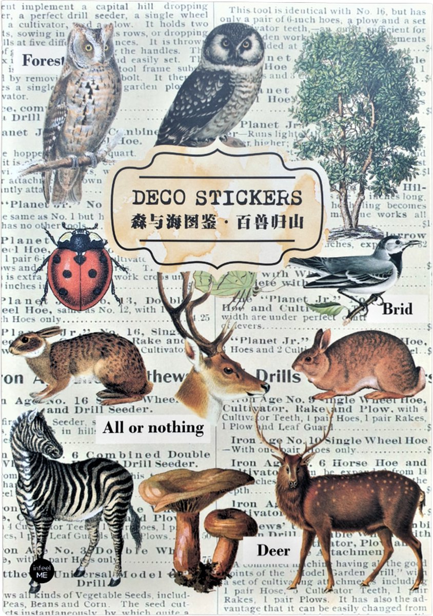Stickerboek Deco Stickers 8 - Meer Leuks - Stickers voor o.a. bulletjournal, scrapbooking en kaarten maken