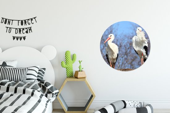 Deux belles cigognes dans leur nid Assiette en plastique cercle mural ⌀ 60 cm - impression photo sur cercle mural / cercle vivant (décoration murale)