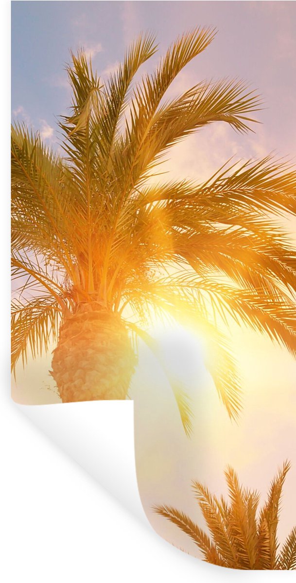 Muurstickers - Sticker Folie - Palmboom - Zomer - Zon - Tropical - 60x120 cm - Plakfolie -