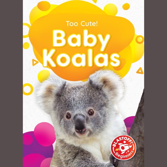 Baby Koalas - cover