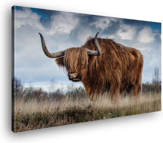 Canvas Schilderij Buffel In De Wei | 100 x 70 cm | Wanddecoratie