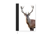 Carnet - Carnet d'écriture - Cerf - Bois - Wit - Carnet - Format A5 - Bloc-notes