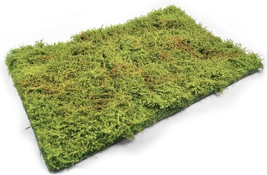 AMMO MIG 8362 Wilderness Fields avec Buissons Printemps Artificiel Vert