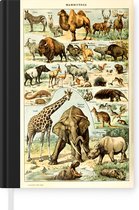 Notitieboek - Schrijfboek - Dieren - Kameel - Giraffe - Vintage - Adolphe Millot - Notitieboekje klein - A5 formaat - Schrijfblok