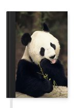 Notitieboek - Schrijfboek - Panda - Bamboe - Eten - Notitieboekje klein - A5 formaat - Schrijfblok