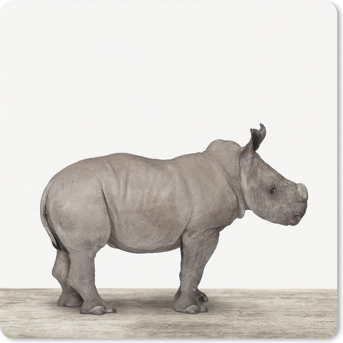 Muismat 30x30 cm - Mousepad Neushoorn - Dieren - Kinderen - Jongens - Meisjes - Muismatten