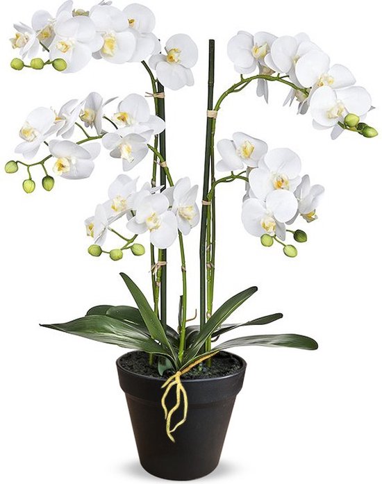 Kunstplant Phalaenopsis 5-tak wit (orchidee) 68 cm