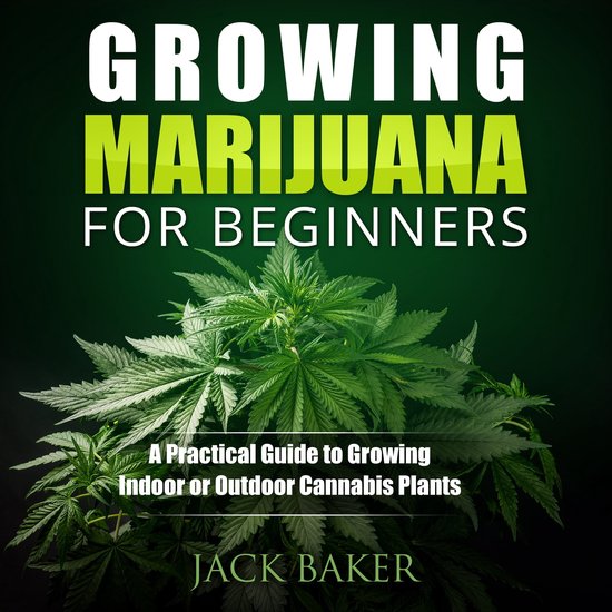 Growing Marijuana for Beginners - cover
