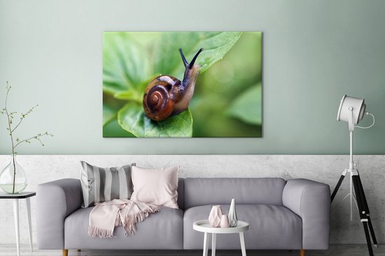 Tableau sur toile Escargot sur feuille - 120x80 cm - Décoration murale