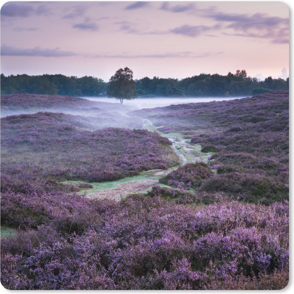 Muismat XXL 40x40 cm - Bureau onderlegger - Bureau mat Mist in de heide - Bureaumat - Gaming mousepad xl - Bureaulegger groot - Computer deskmat