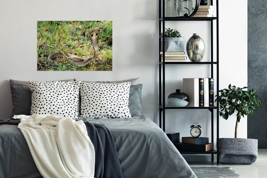 Serpent Cobra dans l'herbe verte Poster 90x60 cm - Tirage photo sur Poster (décoration murale salon / chambre) / Poster Animaux sauvages