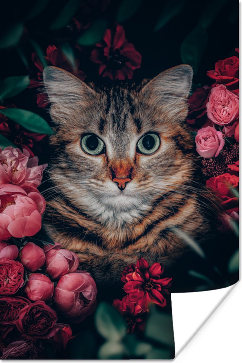 Poster Kat - Bloemen - Dieren - Botanisch - 40x60 cm