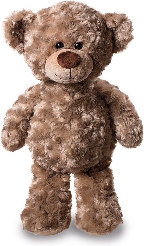 elke dag Gelukkig is dat legering Pluche Teddybeer knuffel - 24 cm - beren knuffeldier | bol.com