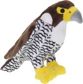 Pluche knuffel dieren Slechtvalk roofvogel van 18 cm - Speelgoed vogels knuffels - Cadeau voor jongens/meisjes
