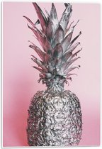 Forex - Zilveren Ananas  met Roze Achtergrond - 40x60cm Foto op Forex