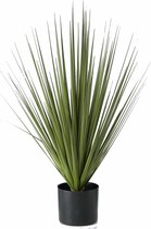 1x Groene grasplanten/kunstplanten Carex  68 cm in zwarte pot - Kunstplanten/nepplanten - Grasplanten