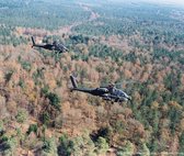 Schilderij Apaches boven de bossen - Plexiglas - Defensie - Koninklijke Luchtmacht - 100 x 100 cm