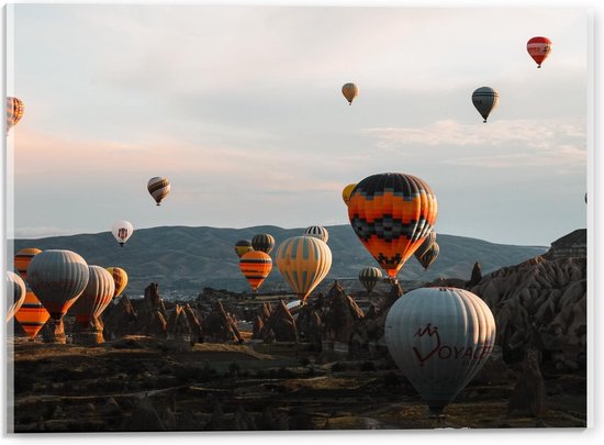 Acrylglas - Lucht vol met Luchtballonnen boven Tempels  - 40x30cm Foto op Acrylglas (Met Ophangsysteem)