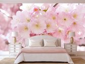 Professioneel Fotobehang Japanse kersenbloesem - roze - Sticky Decoration - fotobehang - decoratie - woonaccessoires - inclusief gratis hobbymesje -520 cm breed x 350 cm hoog - in 7 verschill