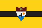 Vlag Liberland 100x150 cm.