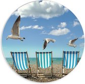 Forex Wandcirkel - Meeuwen boven Strandstoelen - 70x70cm Foto op Wandcirkel (met ophangsysteem)