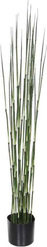 Mica Decorations bamboe in plastic pot maat in cm: 120 x 15