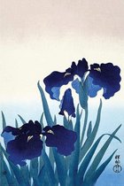 Pyramid Ohara Koson Iris Flowers  Poster - 61x91,5cm