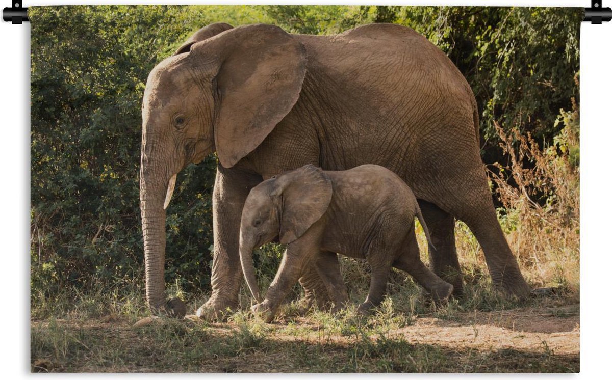 Wandkleed Baby olifant en moeder - Wandelende baby olifant met zijn moeder Wandkleed katoen 60x40 cm - Wandtapijt met foto