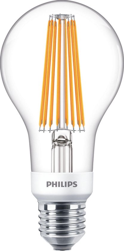 Goed gevoel Afscheiden Spanning Philips 8718696806272 LED-lamp 12 W E27 A++ | bol.com