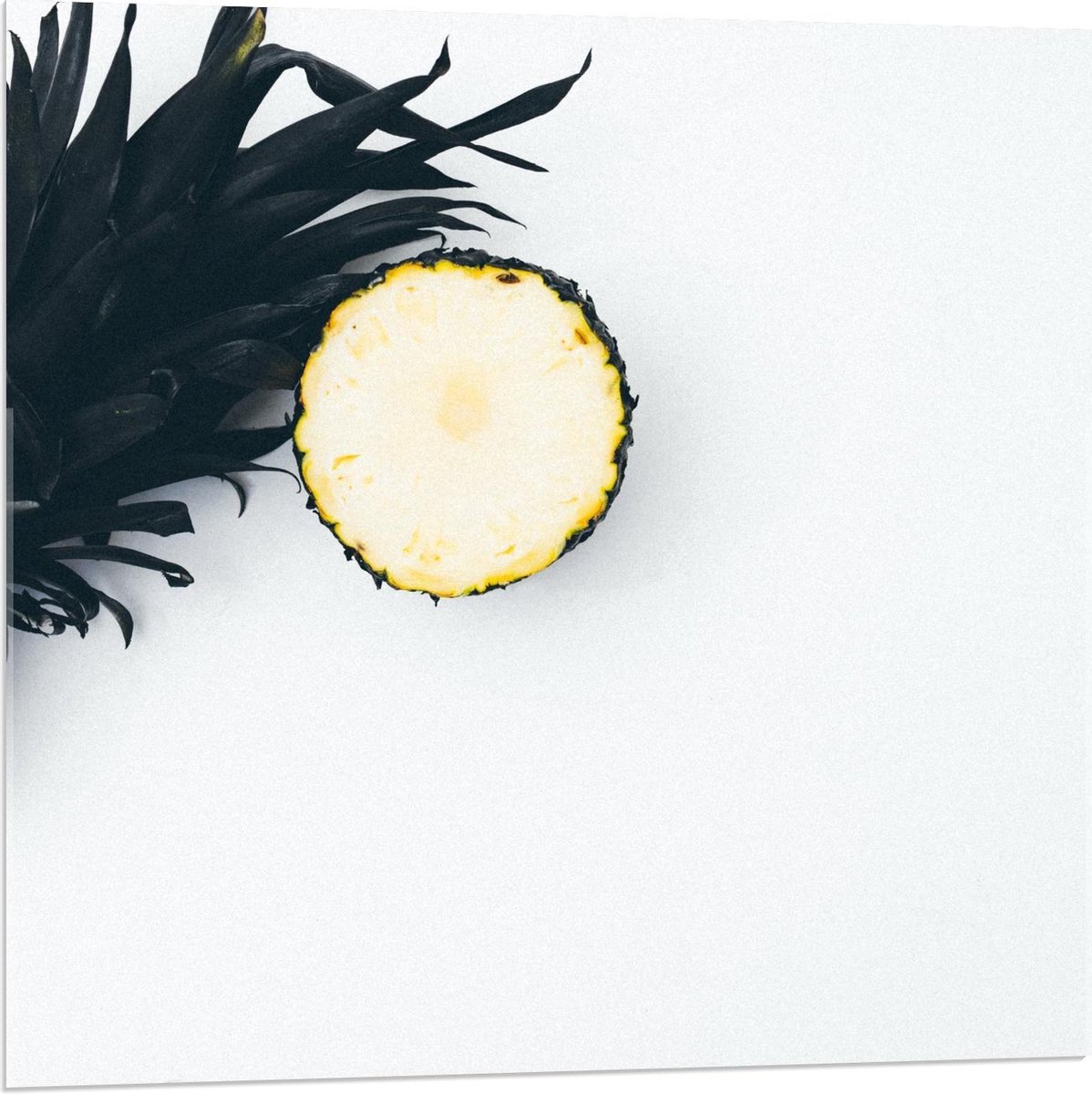 Acrylglas - Zwart Geverfde Ananas  - 80x80cm Foto op Acrylglas (Met Ophangsysteem)