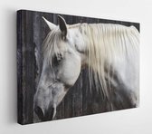 Onlinecanvas - Schilderij - Animal Equine Head Horse Art Horizontal Horizontal - Multicolor - 40 X 50 Cm