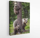 Brown bear cubs climbs a tree. She-bear and cubs in the summer forest. Brown bear. Scientific name: Ursus arctos. Summer season, natural habitat. - Modern Art Canvas -Vertical - 12