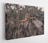 Wild animals in the wild  - Modern Art Canvas - Horizontal - 469212005 - 40*30 Horizontal