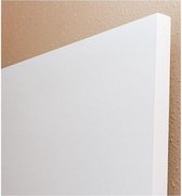 Dun infrarood stralingspaneel 450 Watt,  mineraalcoating 15mm dun 592 x 592mm met wifi smart switch