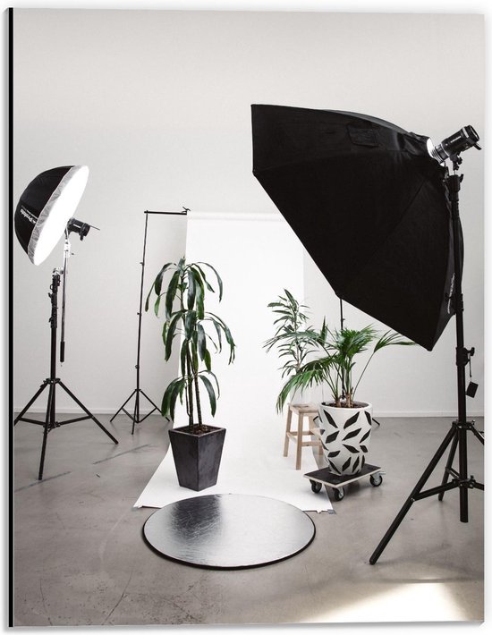 Dibond - Studiolampen met Plantenpot - 30x40cm Foto op Aluminium (Met Ophangsysteem)