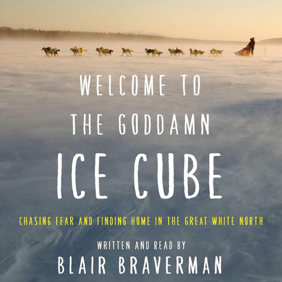 Welcome to the Goddamn Ice Cube - cover